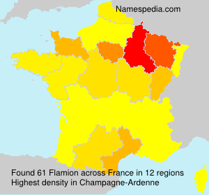 Flamion Flamion