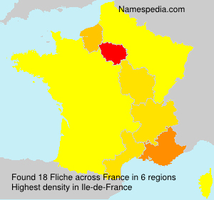 Surname Fliche in France Surname Fliche in France
