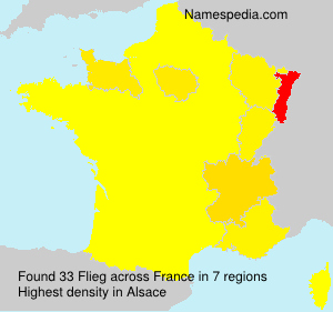 Surname Flieg in France Surname Flieg in France