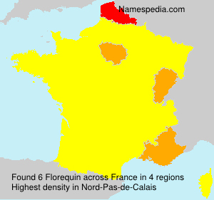 Surname Florequin in France