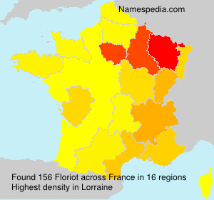 Surname Floriot in France Surname Floriot in France