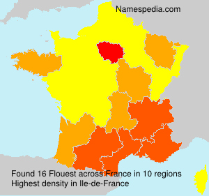 Surname Flouest in France Surname Flouest in France