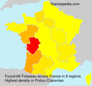 Foisseau Foisseau