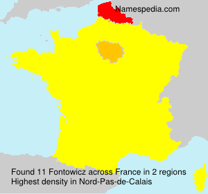 Surname Fontowicz in France