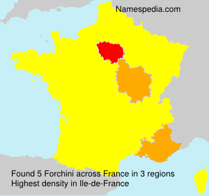 Surname Forchini in France Surname Forchini in France