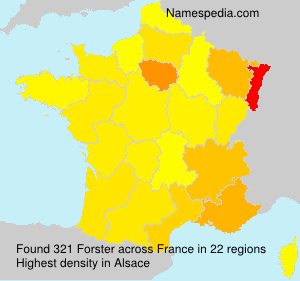 Surname Forster in France Surname Forster in France