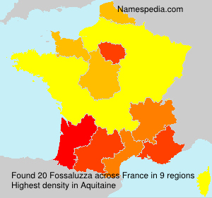 Surname Fossaluzza in France Surname Fossaluzza in France