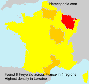 Surname Freywald in France Surname Freywald in France