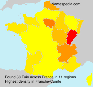 Surname Fuin in France Surname Fuin in France