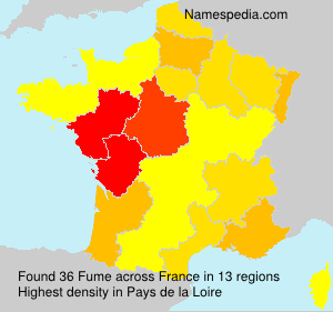 Surname Fume in France Surname Fume in France