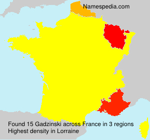 Surname Gadzinski in France Surname Gadzinski in France