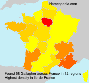 Surname Gallagher in France Surname Gallagher in France
