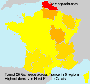 Surname Galliegue in France Surname Galliegue in France