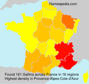 Surname Gallina in France Surname Gallina in France
