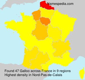 Surname Galloo in France