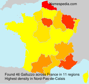 Surname Galluzzo in France Surname Galluzzo in France