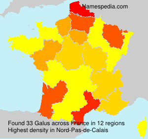 Galus Galus