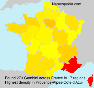 Surname Gambini in France Surname Gambini in France