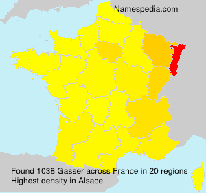 Surname Gasser in France Surname Gasser in France