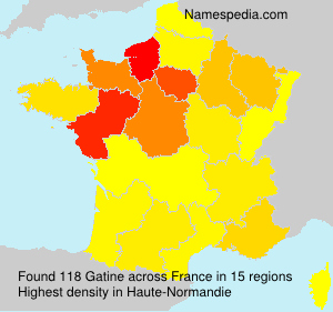Surname Gatine in France