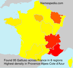 Surname Gattuso in France