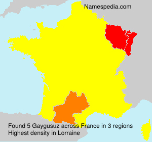 Gaygusuz Gaygusuz