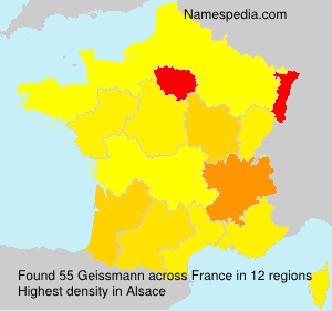 Surname Geissmann in France Surname Geissmann in France