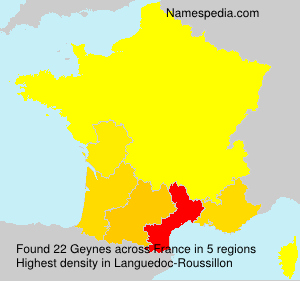 Surname Geynes in France Surname Geynes in France