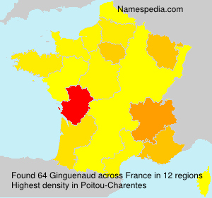 Surname Ginguenaud in France
