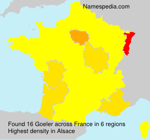 Surname Goeler in France Surname Goeler in France