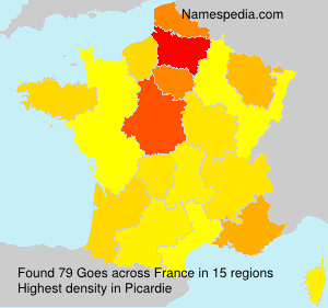 Surname Goes in France Surname Goes in France