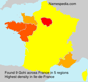 Surname Gohi in France Surname Gohi in France