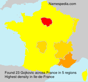 Surname Gojkovic in France Surname Gojkovic in France