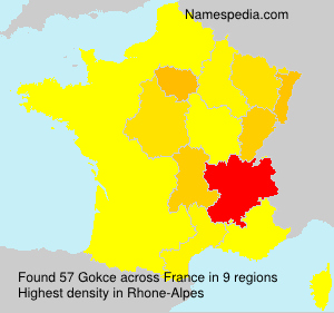 Surname Gokce in France