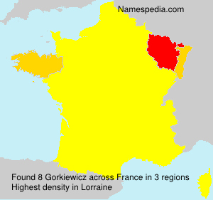 Surname Gorkiewicz in France Surname Gorkiewicz in France