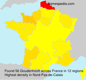 Surname Goudenhooft in France Surname Goudenhooft in France