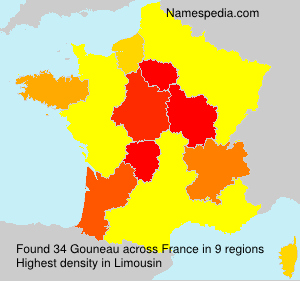 Surname Gouneau in France Surname Gouneau in France
