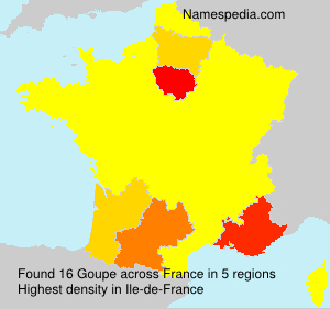 Surname Goupe in France Surname Goupe in France