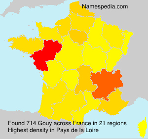 Surname Gouy in France Surname Gouy in France