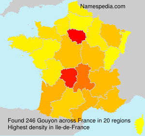Surname Gouyon in France Surname Gouyon in France