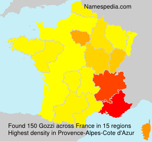 Surname Gozzi in France Surname Gozzi in France