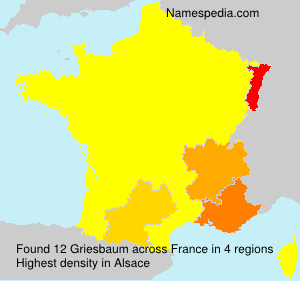 Griesbaum Griesbaum