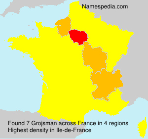 Surname Grojsman in France Surname Grojsman in France