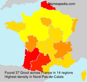 Surname Groot in France Surname Groot in France