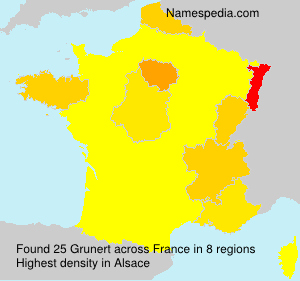 Surname Grunert in France Surname Grunert in France