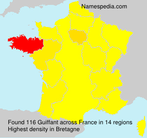 Surname Guiffant in France