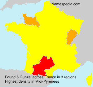 Surname Gunzel in France Surname Gunzel in France