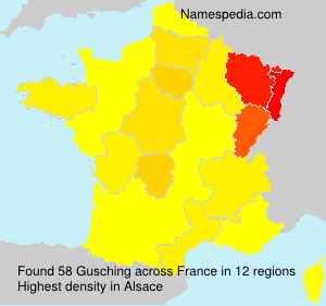 Surname Gusching in France Surname Gusching in France