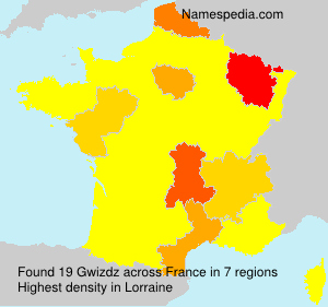 Surname Gwizdz in France Surname Gwizdz in France