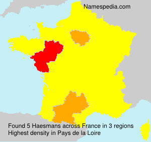 Haesmans Haesmans